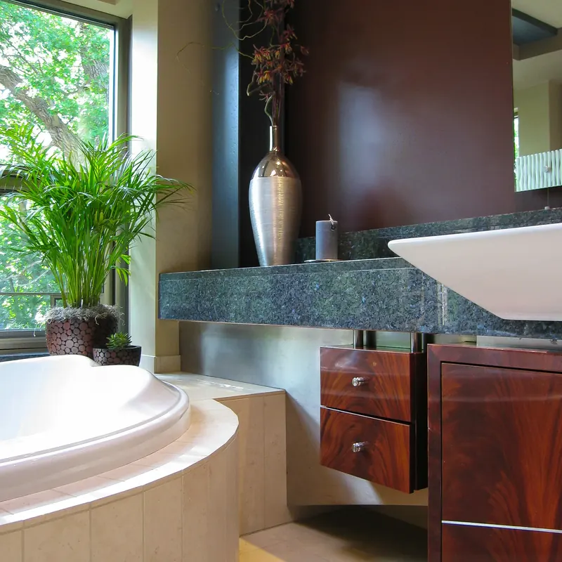 Tub surround meeting a stone counter and floating mahogany drawers, palm in the window behind