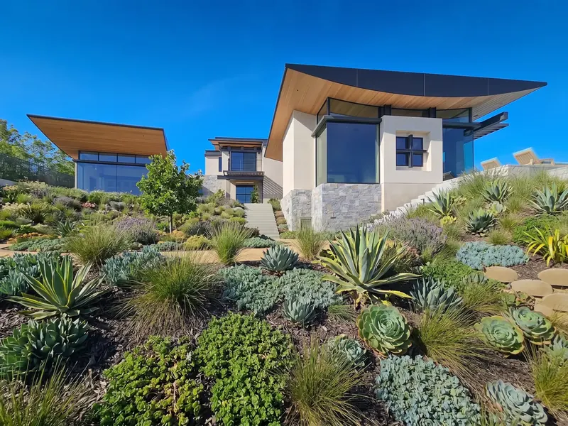 Daytime view of the house across a succulent garden, its upswept wood-lined eaves against a deep blue sky