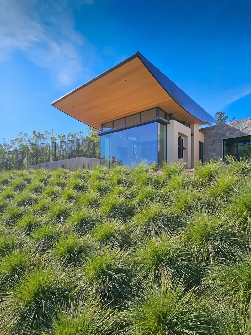 The study wing rising from a slope of tufted grasses, its curved wood soffit sweeping overhead