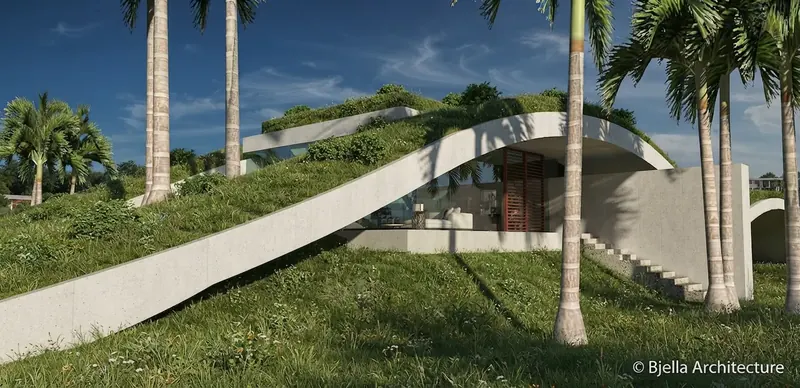 Long white concrete arch sweeping over a grassy mound to a glazed living room with a slatted screen, framed by tall palms