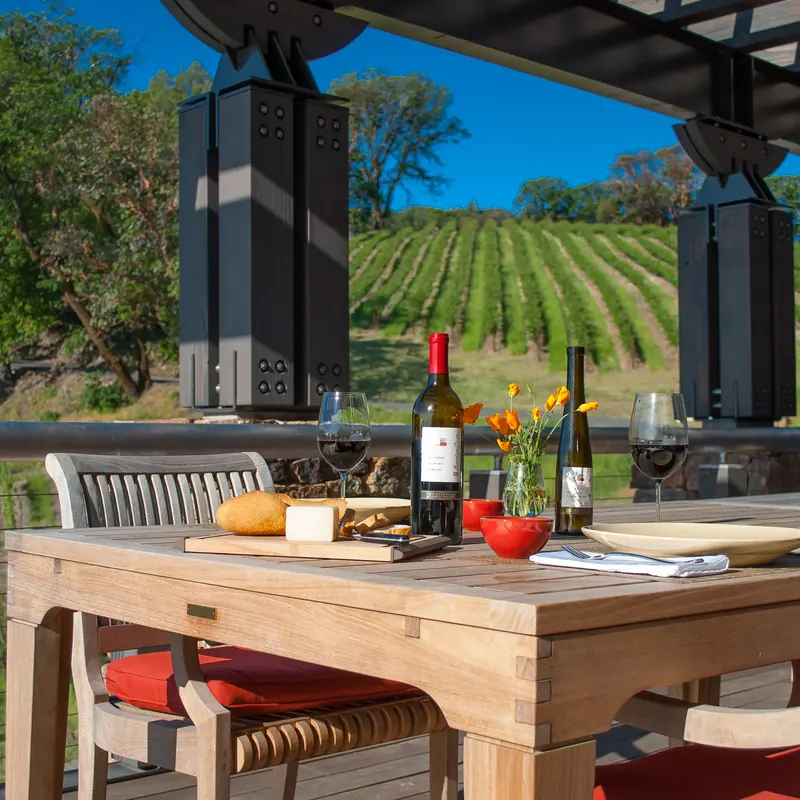 Deck table with wine, bread and cheese, framed by steel columns and rows of vines
