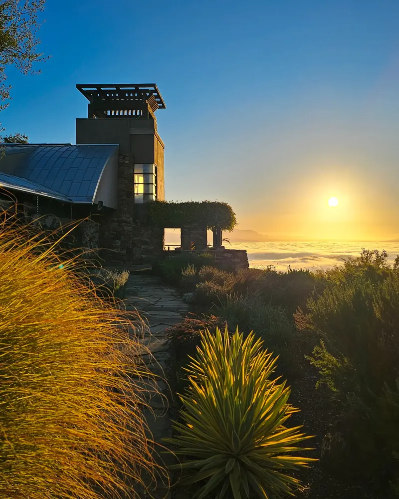 Tower at sunrise with the sun low over a sea of fog, golden grasses in the foreground