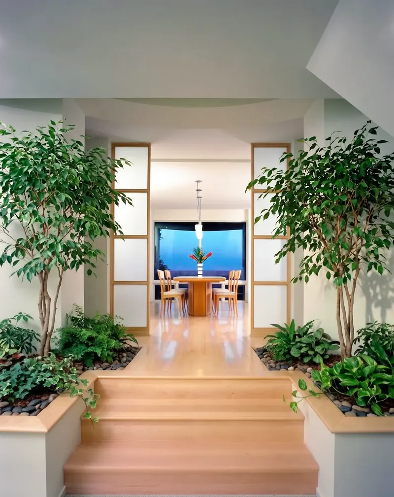 Steps between two built-in planters with small trees, leading through frosted-glass panels to the dining table