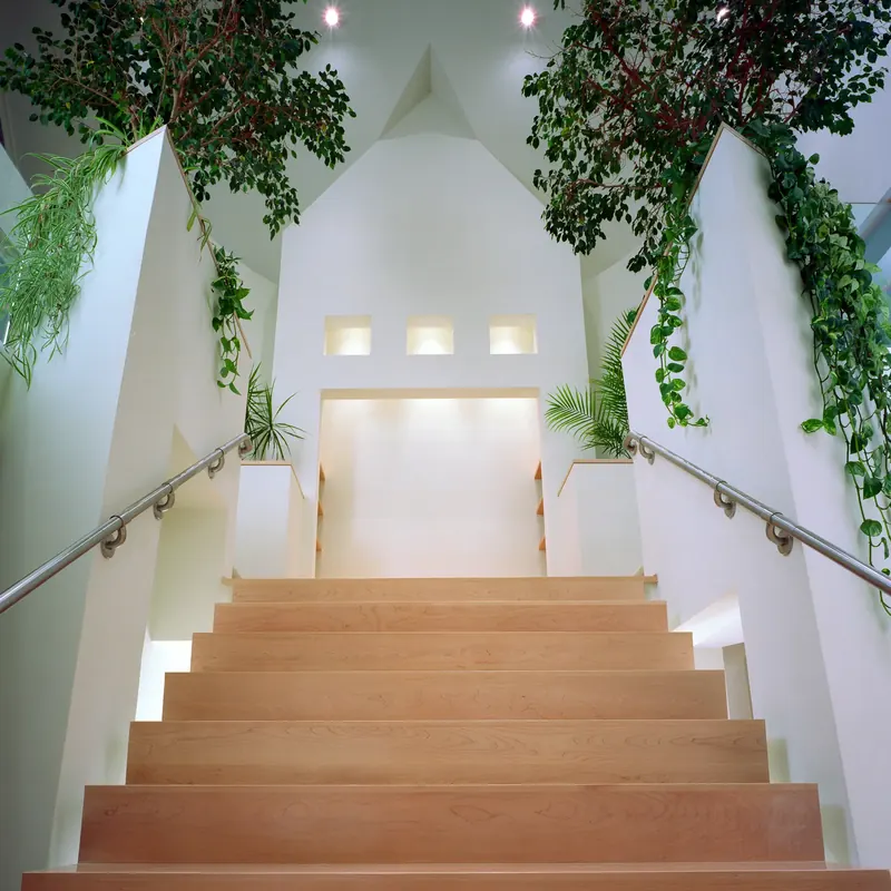 View up a light wood staircase with steel handrails, flanked by white planter walls with trailing vines and leafy trees